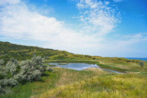 Таманская Швейцария